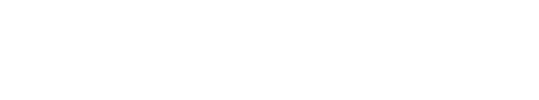 Mobiverse Logo
